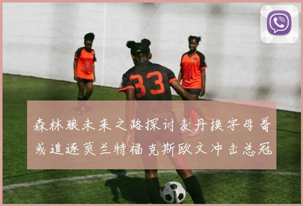 森林狼未来之路探讨麦丹换字母哥或追逐莫兰特福克斯欧文冲击总冠军